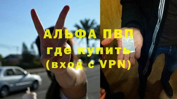 гашиш Богданович