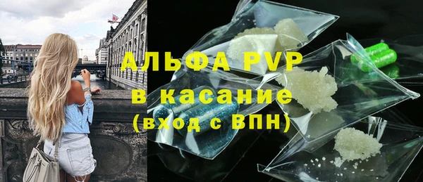 гашиш Богданович